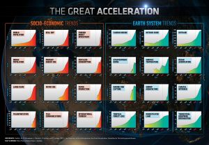 GreatAcceleration2015igbpsrclowres.jpg